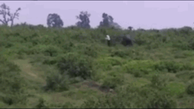 Video: Uống rượu say lại gần voi chụp ảnh, người đàn ông nhận kết thảm