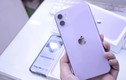 Giá iPhone 11 giảm xuống dưới 12 triệu đồng