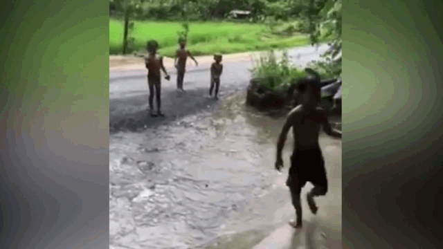 Video: Đội mưa để trêu chó, 4 cậu bé bỏ chạy té khói