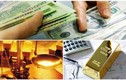 Có tiền lúc này nên gửi tiết kiệm hay mua vàng?
