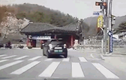 Video: Cụ ông 72 tuổi lái ô tô đâm sập cổng công viên