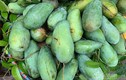 Xoài Việt dội chợ, giá rẻ hơn rau