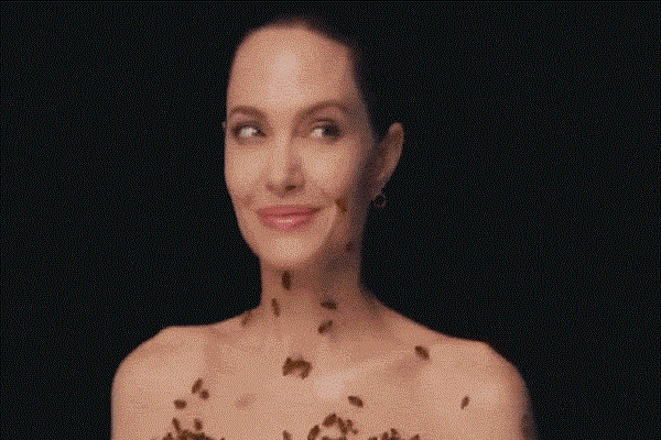  Angelina Jolie chịu bẩn không tắm trong 3 ngày để chụp hình với ong