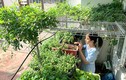 Vườn 3m2 ở ban công đủ các loại rau của nam kỹ sư Sài Gòn