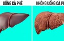 Phụ nữ uống cà phê sẽ có ít mỡ thừa, gan khỏe và sống thọ hơn