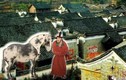 Ngôi làng ở Trung Quốc như mê cung khiến chuyên gia kinh ngạc