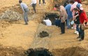 Tìm thấy 2 chiếc đĩa sứ trong mộ cổ, chuyên gia đập vỡ ngay lập tức