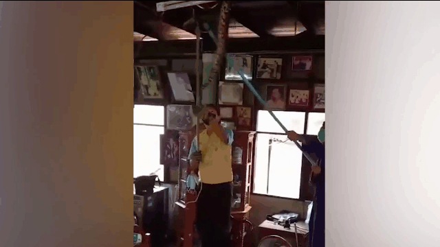 Video: Cậy trần nhà bắt trăn khủng ở Thái Lan