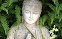 Phật dạy: 6 điều có thể giúp bạn thay đổi cuộc đời