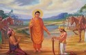 3 cái khổ trong đời theo lời Phật dạy, bạn đã từng trải qua mấy cái?