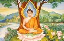 Đức Phật dạy về mẹ chồng nàng dâu