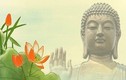 Lắng nghe Phật dạy về cách ăn nói để không làm đối phương tổn thương