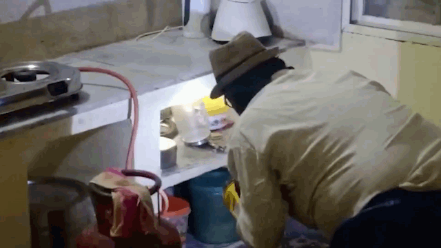 Video: Rắn độc ẩn nấp trong bếp, hung hăng cắn người đàn ông khi bị bắt