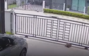 Video: Chú rùa tinh ranh tự mở cổng để ra đường chơi