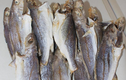 Việt Nam có loại cá từng thất sủng, nay là đặc sản giá đắt