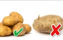 Chọn khoai tây chỉ cần nhìn vào 1 điểm là biết khoai bở bùi