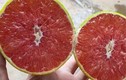 Loại cam ruột đỏ khác thường mới xuất hiện ở Việt Nam