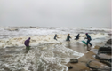 Hàng tấn sò mai theo sóng dạt vào bờ, người dân kéo nhau đi vợt