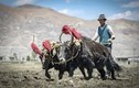 Người Tây Tạng mang "siêu năng lực" từ một loài người khác