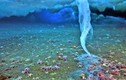 Top 10 hiện tượng kỳ thú của đại dương