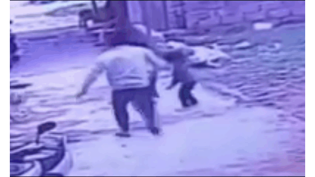 2 bé gái bị chó dữ tấn công giữa phố và màn giải cứu 