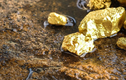 Tìm thấy 1.000 tấn vàng trong hố va chạm tỷ năm