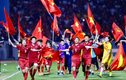Khát vọng vươn biển lớn của thể thao Việt Nam trong năm Quý Mão