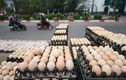 Trứng gà giá 65.000 đồng/30 quả bày bán tràn lan vỉa hè Hà Nội