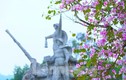Đẹp nao lòng hoa ban ở chứng tích huyền thoại Truông Bồn