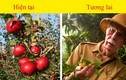 Bất ngờ loại thực phẩm chúng ta không thể ăn lại trong tương lai
