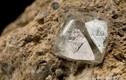 Mổ vịt phát hiện viên đá lạ, hóa ra giá hơn 300 tỷ