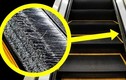Phần lông bàn chải ở 2 bên thang cuốn có chức năng gì?