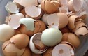 Vỏ trứng xử lý cách này "biến thành" phân bón cực tốt cho cây 
