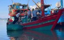 Ngư dân Hà Tĩnh thu 600 triệu đồng chỉ một đêm ra khơi