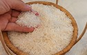 Giá gạo tăng vọt sau lệnh cấm xuất khẩu của Ấn Độ