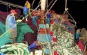 Trúng luồng cá nục, ngư dân Quảng Bình cứ ra khơi là thu tiền tỷ