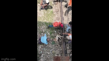 Video: Giải cứu chó mắc kẹt ở đường ray khi tàu đang chạy đến