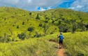 Thảo nguyên xanh ở Đắk Lắk đẹp mê ly được giới trẻ săn đón 