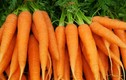 Lợi ích của việc ăn cà rốt vào mùa đông 