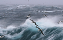 Những con sóng khổng lồ nguy hiểm nhất thế giới nằm ở đâu?