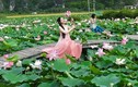 Đầm sen Ninh Bình nở rộ tuyệt đẹp, trăm người đổ về chụp ảnh