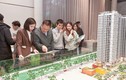 Hanoi Melody Residences - Tổ hợp tâm điểm hút dòng tiền an cư bền vững