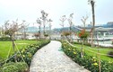 Đô thị Sun Group Hà Nam: Sắp vận hành công viên, bàn giao nhà