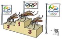 Nguyên tắc phòng Zika khi đến Brazil vào mùa Oplympic 