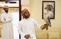 Khám phá bệnh viện chim ưng lớn nhất thế giới ở Abu Dhabi