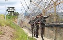 Căng thẳng trong khu phi quân sự Nam-Bắc Triều Tiên