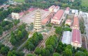 Đại Tòng Lâm, ngôi chùa có nhiều tượng phật nhất Việt Nam 