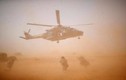 Nhìn lại cuộc phiêu lưu quân sự của Pháp ở Mali