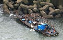 Tàu Triều Tiên dồn dập vào biển Nhật: tàu cá hay tàu gián điệp? 
