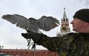 Đội cận vệ điện Kremlin: Kỳ cục từ thành phần tới nhiệm vụ